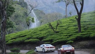 Masinagudi is a captivating hill station village in the Nilgiris district of Tamil Nadu, nestled within the lush Mudumalai Wildlife Sanctuary. It offers a blend of rich biodiversity, stunning waterfalls, rolling tea plantations, and serene rivers such as the Moyar River.