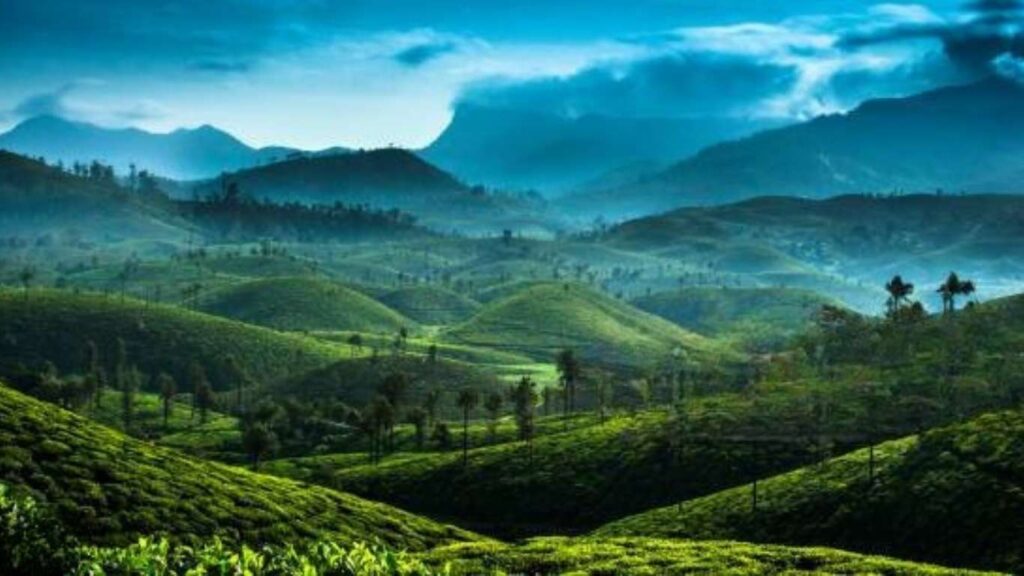 Scenic green hills and misty mountains of Valparai, perfect for Madurai to Valparai tour cab bookings.
